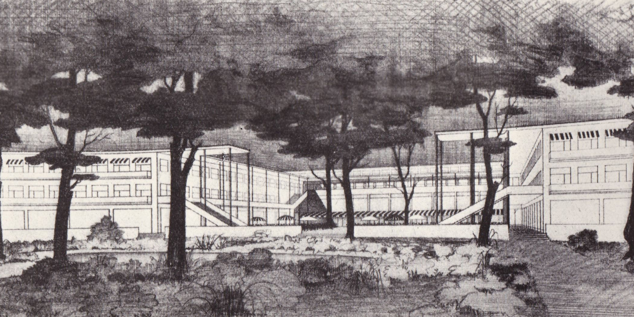 KI generiert: Das Bild zeigt eine Architekturzeichnung eines modernen Gebäudes inmitten einer bewaldeten Landschaft. Im Vordergrund sind Bäume und Vegetation zu sehen, die das Bauwerk umgeben.