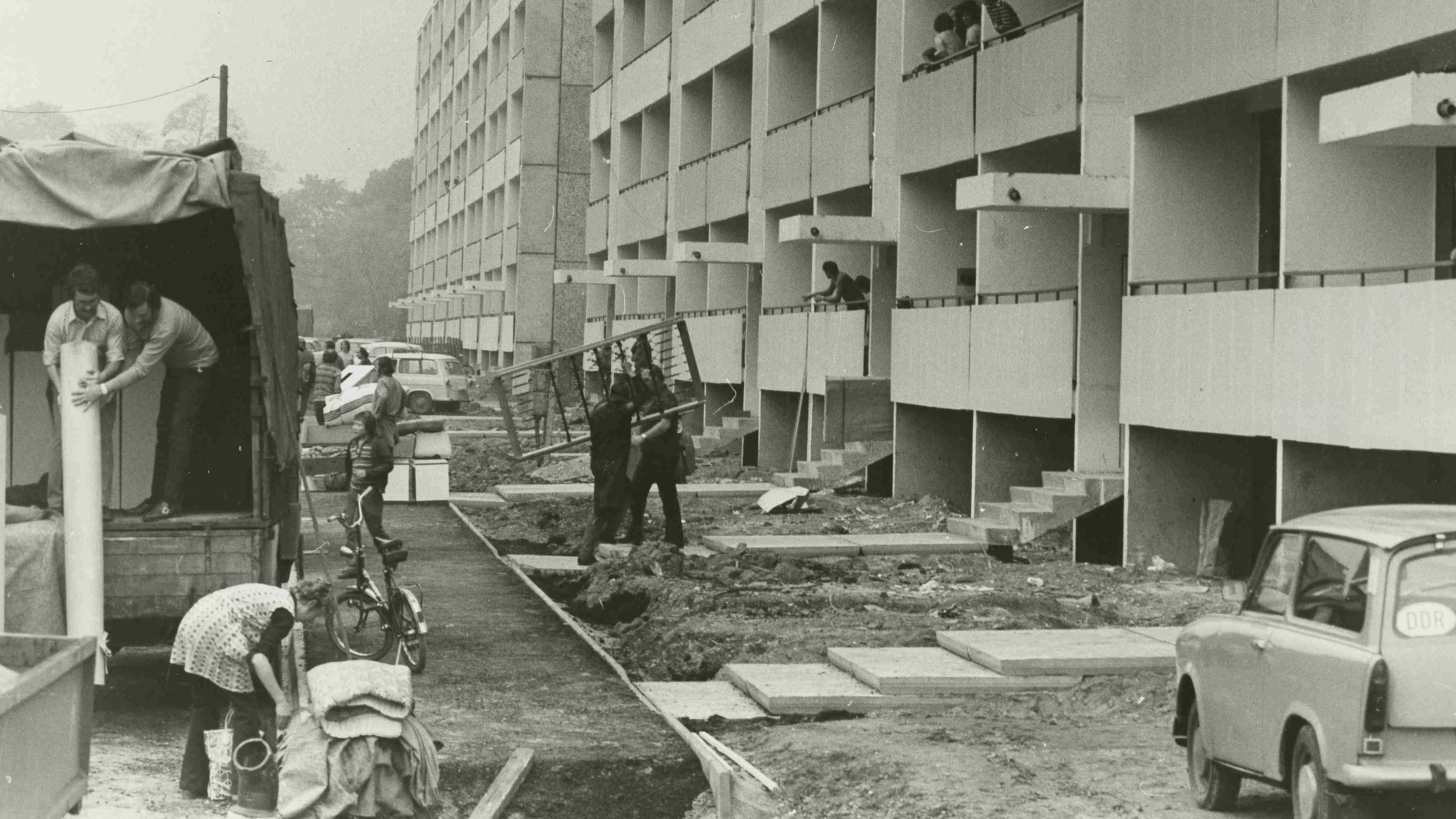 SMD Ph 2005 01367 Löwe