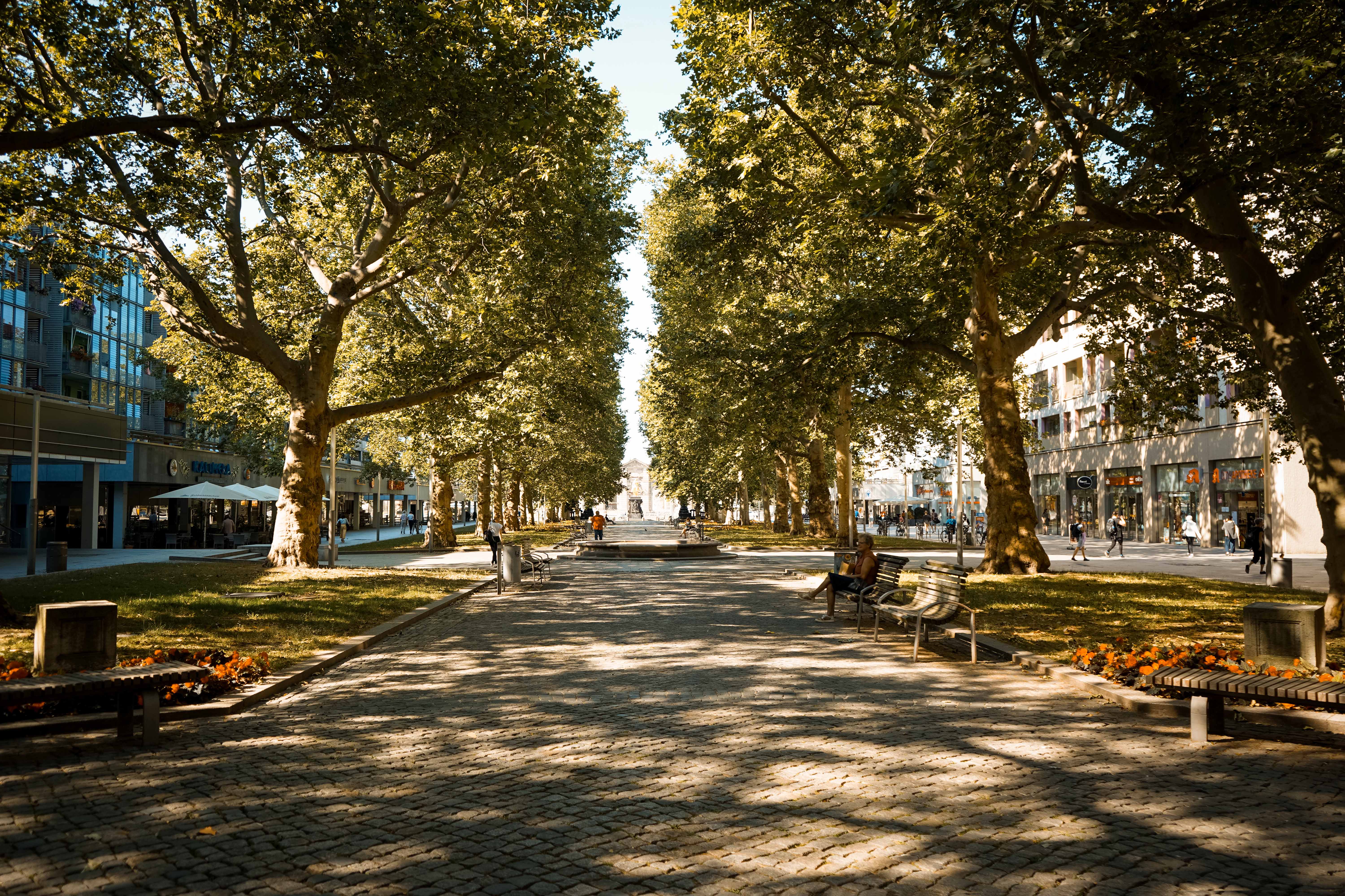 KI generiert: Das Bild zeigt einen von Bäumen gesäumten, gepflasterten Weg in einer urbanen Umgebung, der zu einem Denkmal oder einer Statue führt. Menschen spazieren entlang des Weges, während Geschäfte die Straße säumen.
